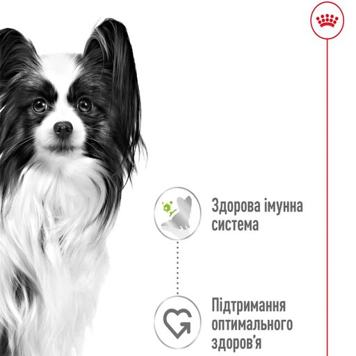 Влажный корм для собак миниатюрных пород Royal Canin X-small Adult, 85 г (8033010)