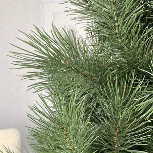 Новорічна штучна лита сосна Смерека пласт Skandinavska 260 см Зелена Pine Skandinavska - 260 (1128341)