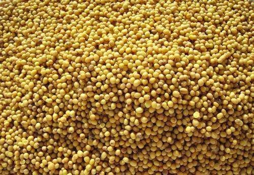 Подушка з насінням гірчиці Lintex 40х40 см (1156041)
