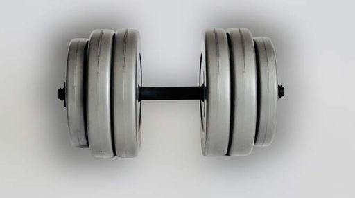 Гантели 2х25кг GREY WCG (1226862)