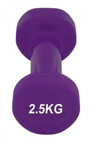 Гантель вінілова PowerPlay 4125 Achilles 2.5 кг. Фіолетова (1шт.) (1232476)
