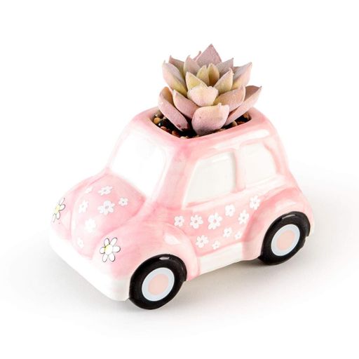 Штучна рослина в горщику МВМ MY HOME 8 см Рожевий/зелений (DH-FLOWERS-23 GREEN/PINK) (1255878)