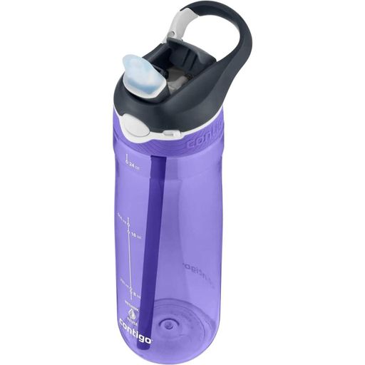 Бутылка для воды Contigo Ashland 720 мл Grapevine (2191383) (1255928)