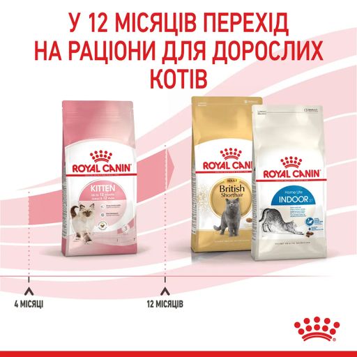 Сухий корм для кошенят Royal Canin Kitten