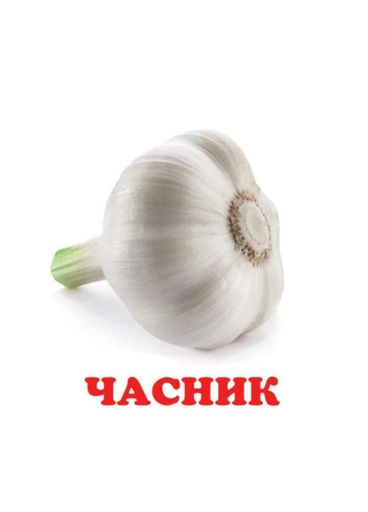 Навколишній світ для найменших. Овочі (1287249)