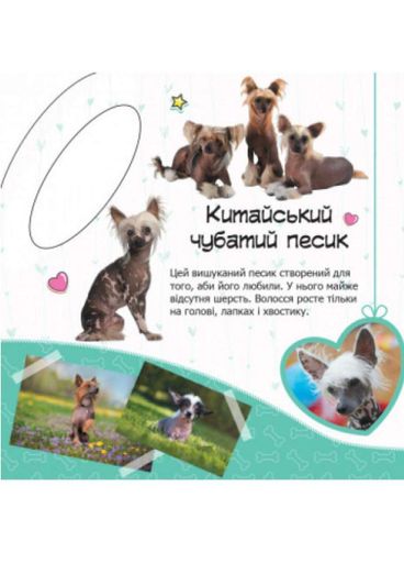 Ми-ми-ми сумочка :  Песики. С1055002У 9789667493974 (1287656)