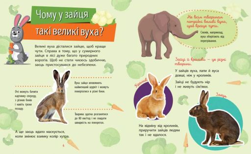 Книга "Почемусики. Животные" Автор Булгакова Анна (1287681)