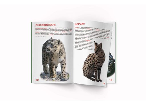 Большая книга. Дикие кошки (Crystal Book) (1288622)