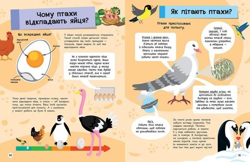 Книга "Велика енциклопедія для чомусика" Тверда Обкладинка Автор Булгакова Ганна (1289407)
