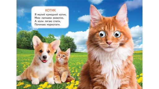 Домашние любимцы. Знакомим малышей с окружающим миром 9786178405700 (1289447)