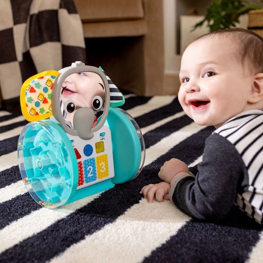 Музыкальная игрушка Baby Einstein Chase & Tap Earl, от 6 месяцев (16923)