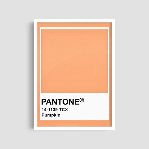 Постер Roomy "Pantone Pumpkin" Белая рамка с глянцевым стеклом A3 (42x29.7 cm) (1295802)