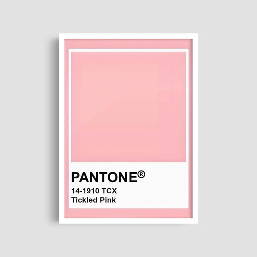 Постер Roomy "Pantone Pink" Чорна рамка з антибліковим склом A1 (84.1x59.4 cm.) (1295812)