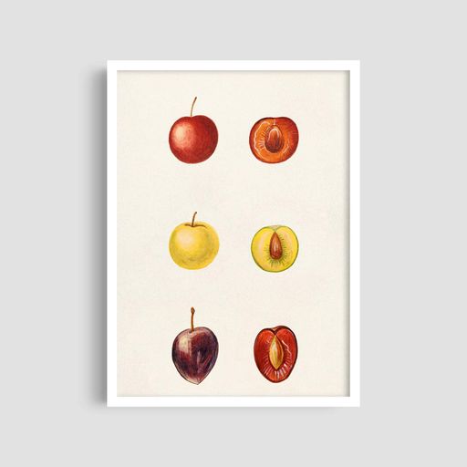 Постер Roomy "Apple Collection" Белая рамка с антибликовым стеклом A1 (84.1x59.4 cm.) (1296528)