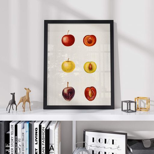 Постер Roomy "Apple Collection" Без рамки A3 (42x29.7 cm) (1296530)