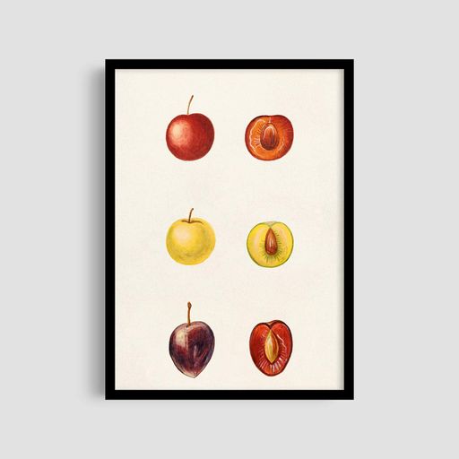 Постер Roomy "Apple Collection" Чорна рамка з антибліковим склом A4 (29.7x21 cm) (1296544)