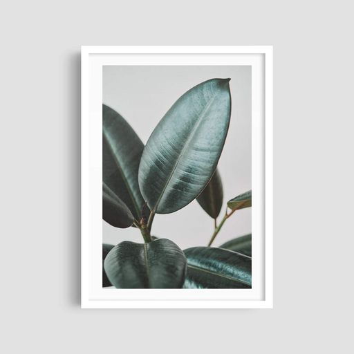 Постер Roomy "Foliage Focus" Черная рамка с антибликовым стеклом A2 (59.4x42 cm.) (1297941)