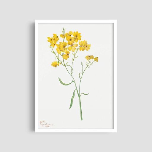 Постер Roomy "Yellow Blooms" Черная рамка с антибликовым стеклом A2 (59.4x42 cm.) (1298256)