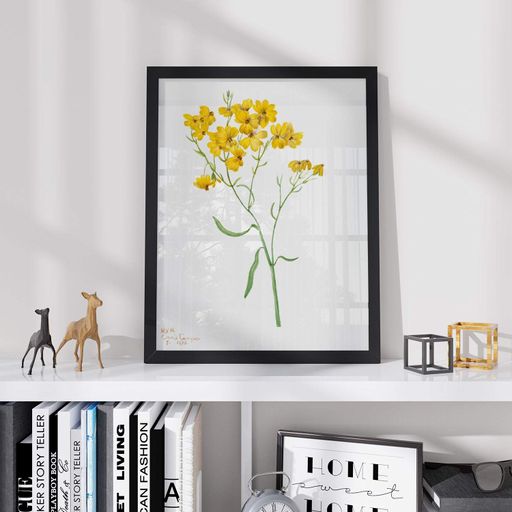 Постер Roomy "Yellow Blooms" Белая рамка с глянцевым стеклом A4 (29.7x21 cm) (1298258)