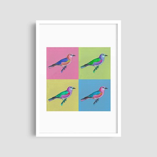 Постер Roomy "Colorful Sparrows" Белая рамка с глянцевым стеклом A2 (59.4x42 cm.) (1309727)