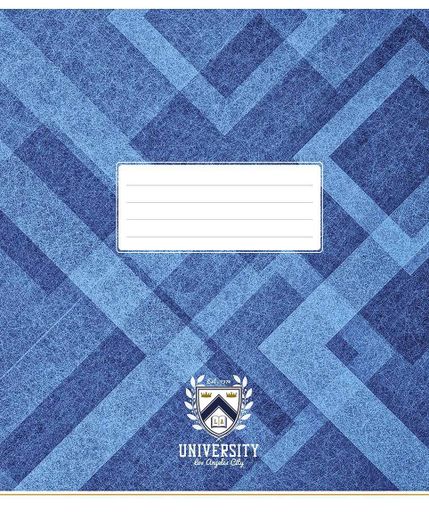 Набор 5 шт, тетрадь общая, University (ВД-лак). Тетрадь Star в клетку 48 л. 3374 4820006472160 (1321481)