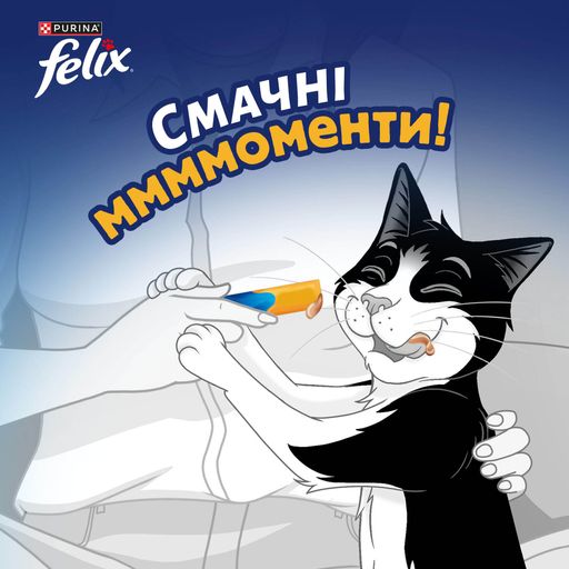 Лакомство для взрослых кошек Felix Вкусные моменты, с курицей, 4*10 г