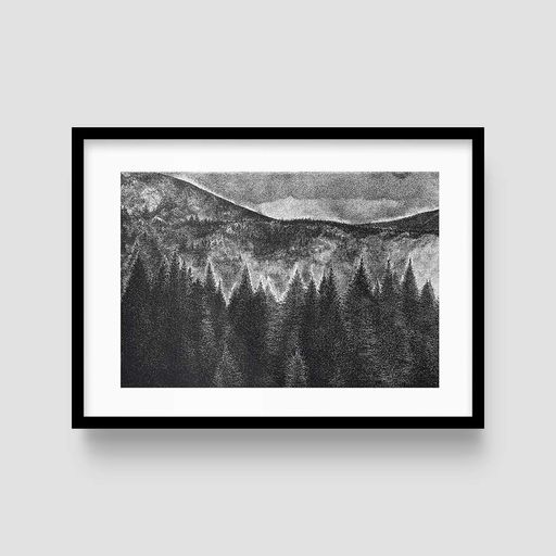 Постер Roomy "Carpathians I" Чорна рамка з антибліковим склом A2 (59.4x42 cm.) (1354130)
