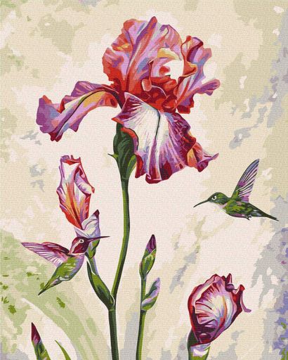 Картина за номерами Brushme 48x60см "Ранкове побачення" © Anna Steshenko" BS53924L (1452653)