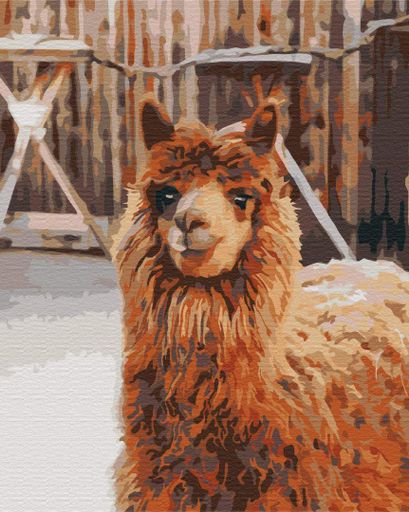 Картина по номерам Brushme 40x50см "Лама на ферме" BS52266 (1456953)