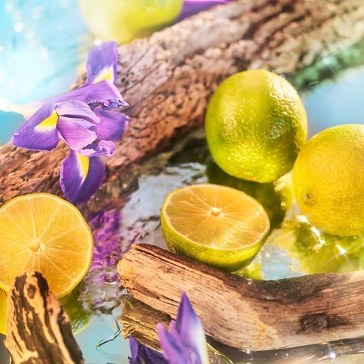 Roja Parfums Oceania Парфюмированная вода унисекс, 2 мл (пробник)