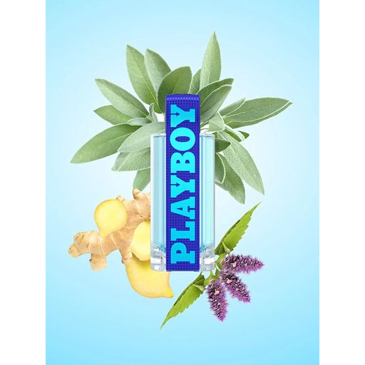 Playboy AM To PM Туалетная вода мужская, 60 мл