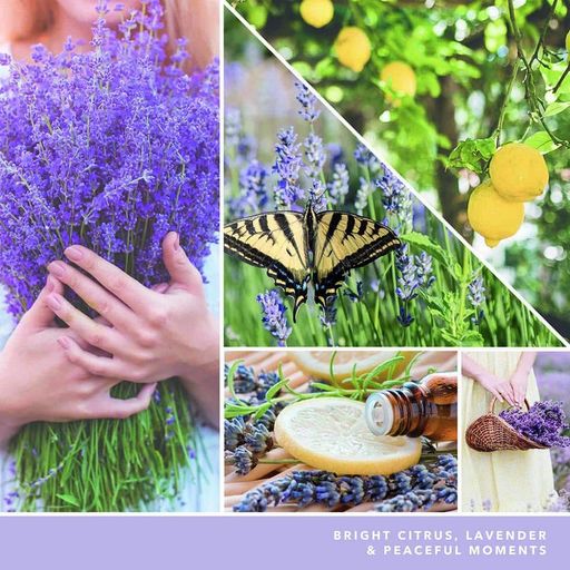 Ароматическая свеча Lemon Lavender Small Tumbler Jar Yankee Candle (1744758E) (1521890)