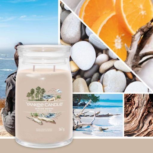 Ароматическая свеча Seaside Woods Medium Yankee Candle (1521951)