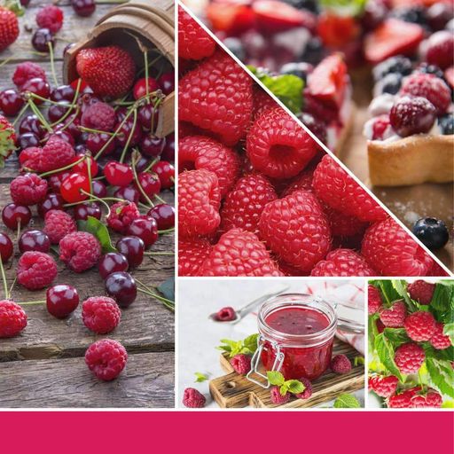 Ароматическая свеча Red Raspberry Mini Yankee Candle (1521953)