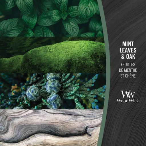 Ароматическая свеча в стекле Woodwick Ellipse Mint leaves &amp; Oak 453 г (1721696E) (1521967)
