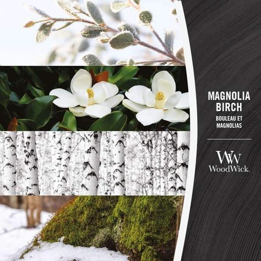 Ароматическая свеча с нотами магнолии и берёзы Woodwick Ellipse Magnolia birch 453 г (1720911E) (1522031)
