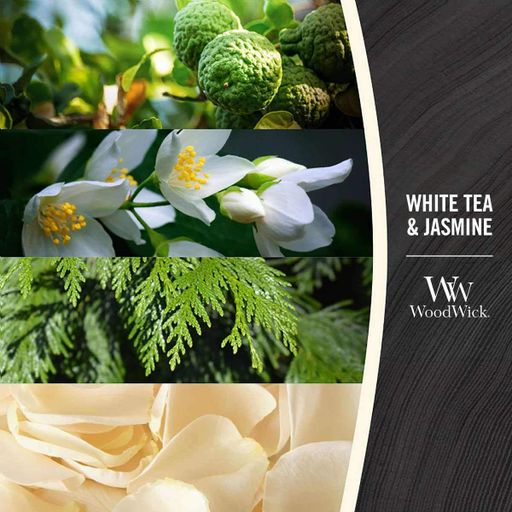 Ароматическая свеча в стекле Woodwick Mini White Tea &amp; Jasmine 85 г (98062E) (1522032)