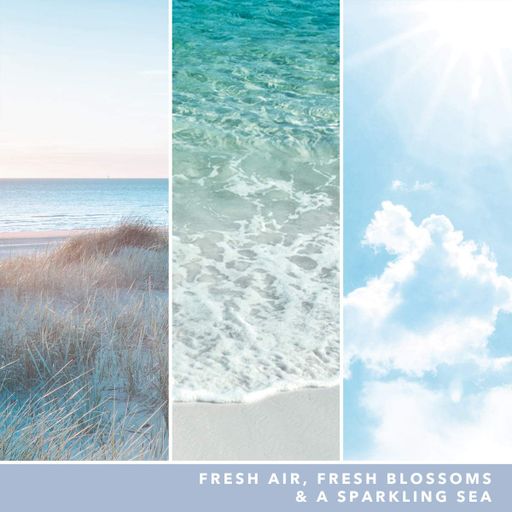 Ароматична свічка Ocean Air Medium Yankee Candle (1522043)