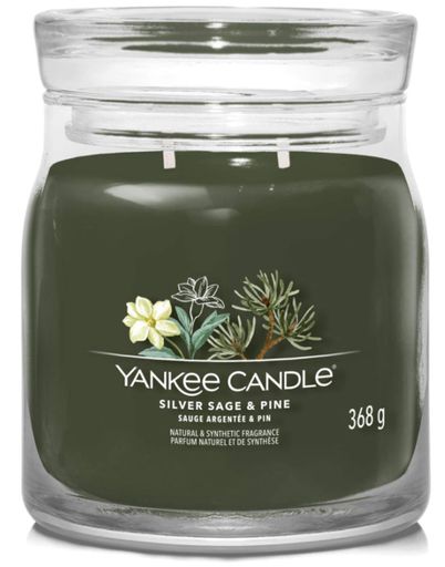 Ароматическая свеча Silver Sage &amp; Pine Medium Jar Yankee Candle (1630027E) (1522044)