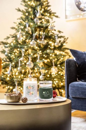 Ароматическая свеча Silver Sage &amp; Pine Medium Jar Yankee Candle (1630027E) (1522044)