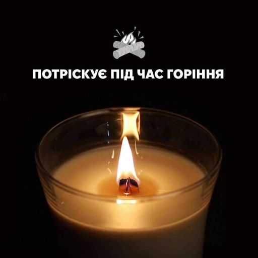 Ароматическая свеча в стекле Woodwick Large Warm Wool 609 г (93052E) (1522053)