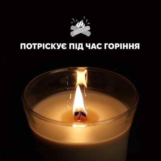 Ароматическая свеча в стекле Woodwick Medium Coastal Sunset 275 г (92049E) (1522063)