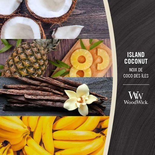 Ароматическая свеча в стекле Woodwick Medium Island Coconut 275 г (92115E) (1522092)