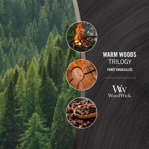 Ароматична свічка з тришаровим ароматом Woodwick Large Warm Woods 609 г (93911E) (1522113)