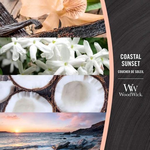 Ароматическая свеча в стекле Woodwick Mini Coastal Sunset 85 г (98049E) (1522136)