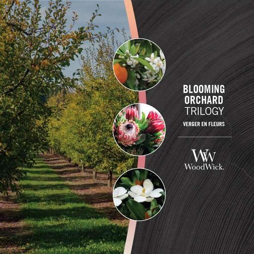 Ароматична свічка в склі з тришаровим ароматом Woodwick Large Trilogy Blooming Orchard 609 г (1728632E) (1522162)
