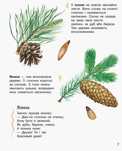 Енциклопедія дошкільника нова : Ліс Ранок 614016 (1528266)