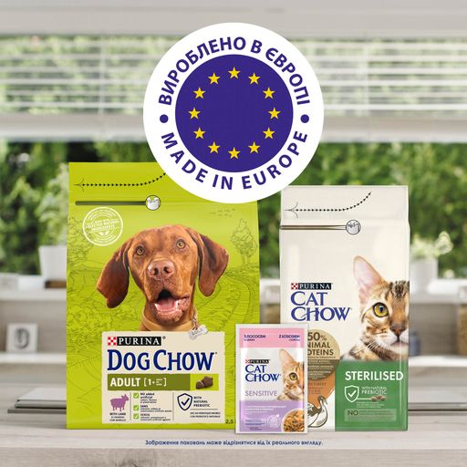 Упаковка влажного корма для взрослых кошек Cat Chow Adult с курицей и цукини, кусочки в желе, 85 г * 10 шт