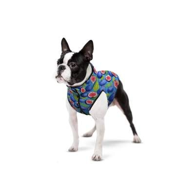 Курточка для тварин WAUDOG Clothes Інжир M 45 (408-4053) (1596879)