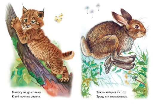 Книга Малятам про звіряток Збірник: Лісові звірята Ранок М212015У shop (9786170978752) (1600568)
